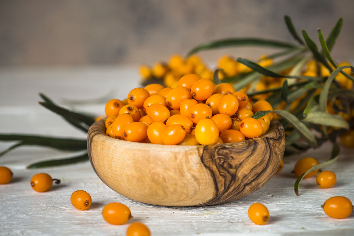 All About Sea Buckthorn: Uses and Benefits